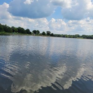 Meet your Posher, Terrence